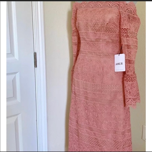 AMUR Lace dress GORGEOUS new Pink sz 4 - Picture 4 of 6